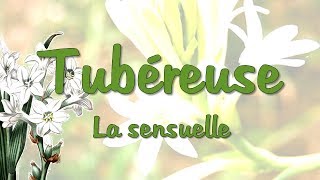 Tubéreuse  la sensuelle [upl. by Briny921]