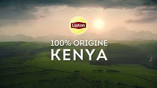 Nouveau Lipton Yellow Label 100 Origine Kenya  20sec [upl. by Tiernan]