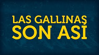 LAS GALLINAS SON ASÍ ► con letra [upl. by Darrin]