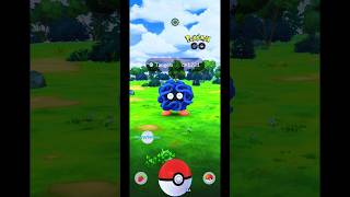 Great Throw Catching Tangela in Pokemon GO  Gameplay Update Shorts Tangela PokemonGOGameplay [upl. by Dami]