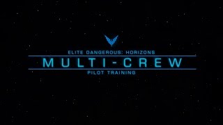 Pilot Training  Multicrew [upl. by Orwin]