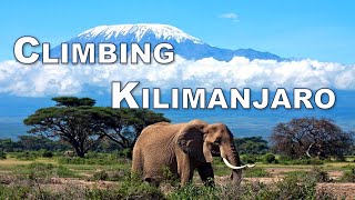 Climbing Kilimanjaro  The Highest Freestanding Mountain in the World [upl. by Nosyk]