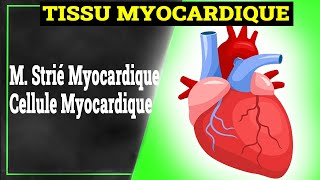 Tissu Myocardique  Histologie [upl. by Nalat47]