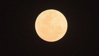 Rare super blue moon to be visible Wednesday night [upl. by Acisset534]