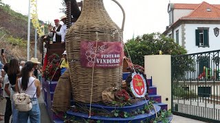 Cortejo Festa das Vindimas  2024 Estreito de Câmara de Lobos Madeira Portugal [upl. by Sonya]