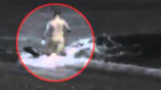 Killer Whale Attacks Man On Beach  WARNING Graphic [upl. by Anaid221]