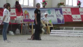 FCI Obedience World Championship 2016 [upl. by Fruma]