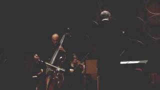 Bottesini Concerto No 2  Catalin Rotaru mvt 1 [upl. by Tenn]