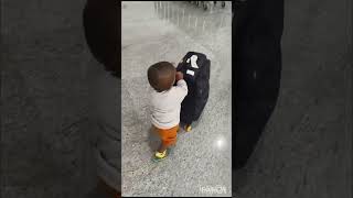 Cute Coco🥰😍 Playing with luggageyoutubeshortsvideosAppu amp Coco vlogssubscribe 👍 [upl. by Cannice]