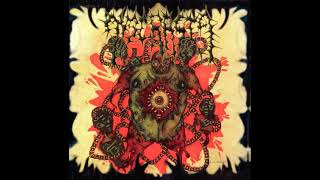 Dyscrasia  Septical Stomach Pumped Remnants Full Album [upl. by Faunie]