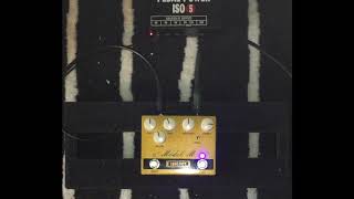 Tone City Model M Demo [upl. by Jeremiah]