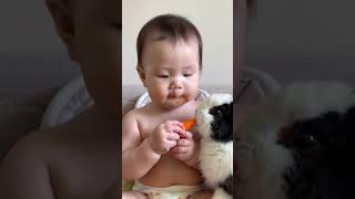 Smart baby feeding Carrot to rabbit [upl. by Haywood]