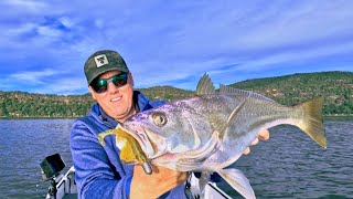 Flicking lures around Pittwater and the Hawkesbury river [upl. by Amii339]