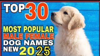 Top Dog Names  Top 30 Dog Name  Dog Channel  Popular Dog Name  In Hindi  Dog Male Name [upl. by Arama240]