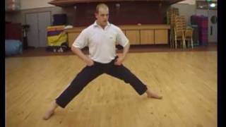 Martial Arts Showreel Van Damme Style [upl. by Esnohpla829]