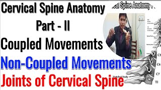 Cervical Spine AnatomyNeck JointsCoupled amp NonCoupled MovementsTypical amp A Typical Vertebra [upl. by French]