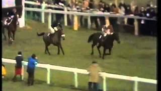 Davy Lad The 1977 Cheltenham Gold Cup [upl. by Amena]