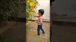 Dil ne kha😊  Dugu dilnekaha cutebaby heart queen followme folower tree masti funnewsong [upl. by Hui]