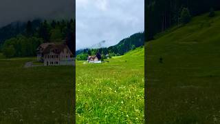 📍Schwyz Switzerland🇨🇭INmedia22 YouTube shorts viral nature youtube switzerland family [upl. by Aicilef]