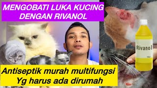 MENGOBATI KUCING LUKA DENGAN RIVANOL  Rivanol untuk kucing luka kucing borokan kucing abses dll [upl. by Mufinella]