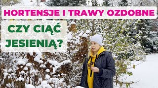 Jesienne cięcie hortensji i traw Czy warto teraz ciąć hortensje i trawy Pora na sadzonki z patyków [upl. by Ylicis325]