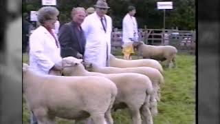 Chulmleigh Old Fair Sheep Show 1992 [upl. by Arhas249]