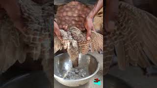 Partridge birds Recipe  Teetar birds Curry  Teetar Racipe  Titar Racipe  Village Recipe guy [upl. by Mossman]