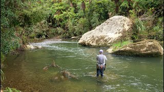 Incredible Fly Fishing for BIG Rainbow Trout in a Stunning River [upl. by Ilujna]