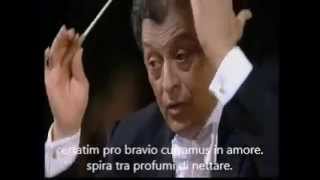 Carmina Burana Carl Orff Zubin Mehta sottotitolata in italiano e latino [upl. by Liris867]