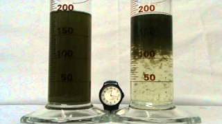 Treating Algae Contaminated Water [upl. by Llenyl]