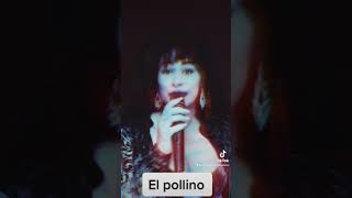 Anais Garmendia Tributo Selena Quintanilla [upl. by Pohsib]