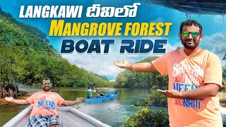 Mangrove Forest Boat Tour In Langkawi  Kilim Geoforest Park [upl. by Letnahc]