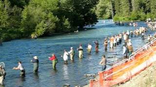 Combat Fishing on Russian River [upl. by Sylvanus]