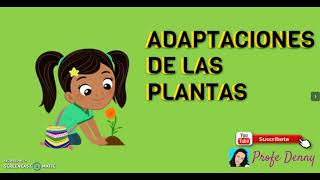 ADAPTACIONES DE LAS PLANTAS [upl. by Annahgiel]