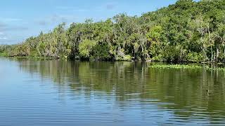 Spring Garden Lake amp Spring Garden Creek Boat Tour Lake Woodruff National Wildlife Refuge Florida [upl. by Pearlstein432]