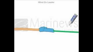 How to Tie Wind On Leader Knot [upl. by Eenal158]