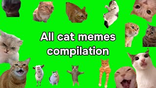 All cat memes Cat meme green screen [upl. by Assilanna]