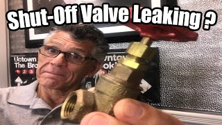 Leaky Shut Off Valve Repair [upl. by Kikelia997]