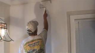 How to Apply PVA Primer Sealer to Wall [upl. by Ecirtnahs]