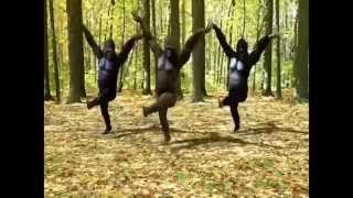 Gorillas dance mast gadda with Pashto music [upl. by Powder]