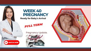 40 Weeks Pregnant Ready for Babys Arrival  PREGNANCY WEEK BY WEEK [upl. by Ideih]