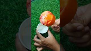 Easy Kulfi recipies shorts recipe short kulfilover kulfi papita food [upl. by Dupre]