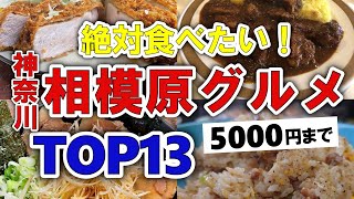 【今すぐ行きたい！】相模原神奈川グルメランキングTOP13｜ランチにおすすめの穴場・中華・とんかつなど【5000円以下】 [upl. by Jorie805]