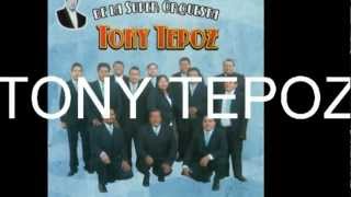 ´´ Roberta´´Orquesta TONY TEPOZ cholula puebla [upl. by Eetnahs292]