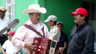 VARIAS DE CACHORROS DESDE SAN LUIS POTOSI PILO Y SUS MONARCAS [upl. by Kcirrem]