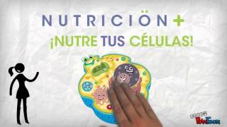 Nutricion celular [upl. by Setarcos]