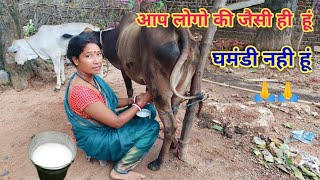 आप लोगो की जेसी ही हूं  milkig video  village life style  Asha Ghatwar Vlogs  village video [upl. by Ainotal]