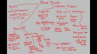 Origin of Life  Protocell Formation Part 2  BIALIGYcom [upl. by Siloa548]