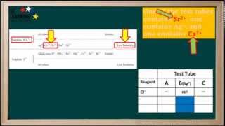 WCLN Qualitative Analysis Using Precipitation Reactions  Chemistry [upl. by Elimac]