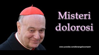 Mons Angelo Comastri – Misteri dolorosi del Santo Rosario [upl. by Arinaid]